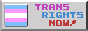 trans rights now banner